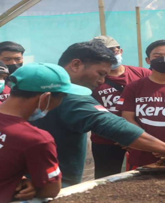 Salam, Petani Muda Keren !