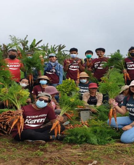 Pelatihan Hortikultura Organik P4S PMK Gobleg