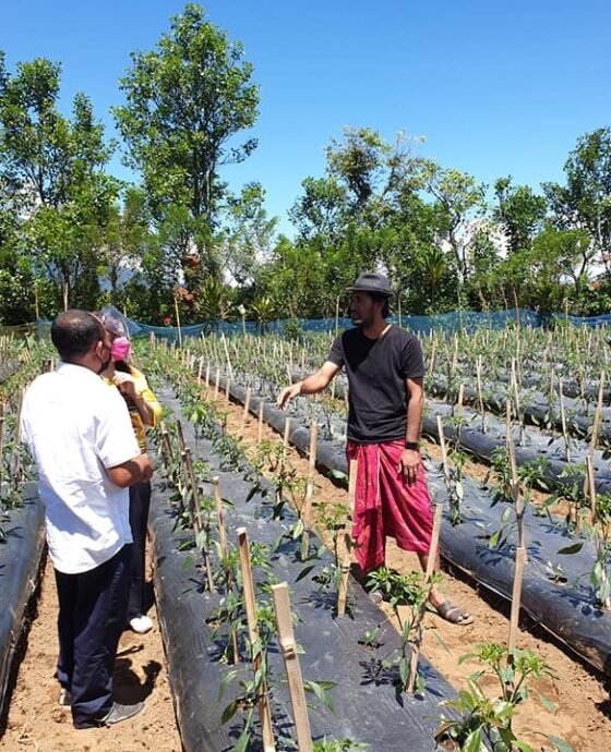 Kilas Balik 2021, SERTIFIKASI ORGANIK KEBUN PMK GOBLEG🌾