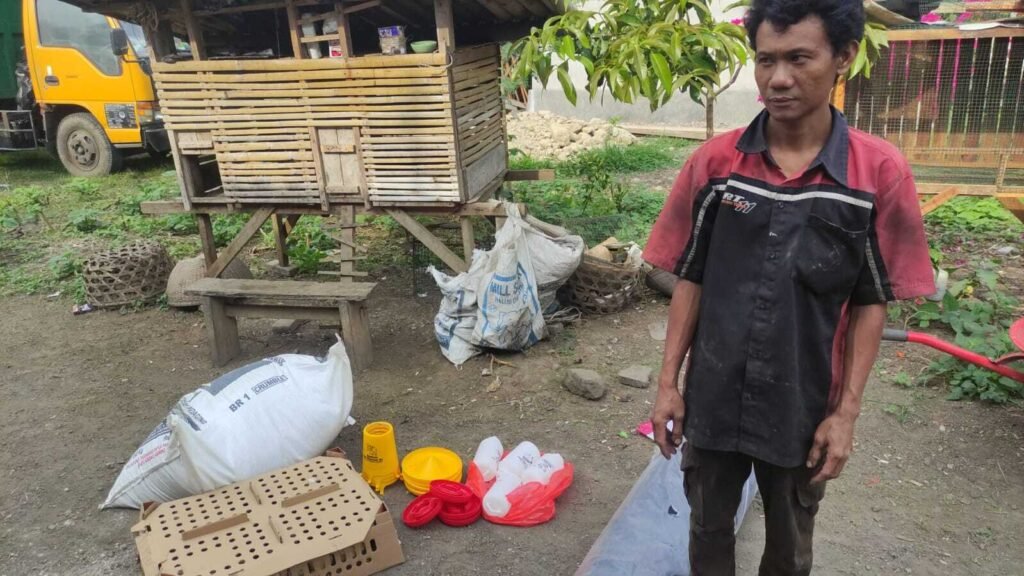 Program ayam KUB untuk keluarga PKH