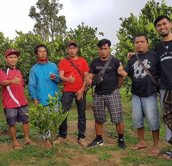 Jeruk Organik Petani Muda Keren