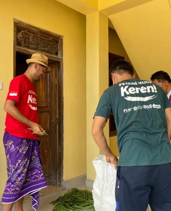 Kilas Balik 2021, Agricultural Value Chain pada komoditas Vanili di Bali