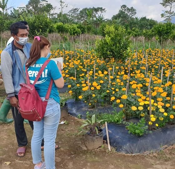 Kilas Balik 2021, Implementasi Smart Farming di kebun-kebun PMK melaui Internal Control System (ICS)