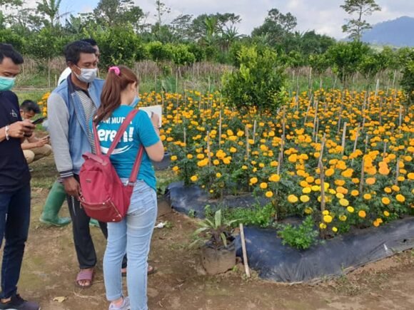 Kilas Balik 2021, Implementasi Smart Farming di kebun-kebun PMK melaui Internal Control System (ICS)
