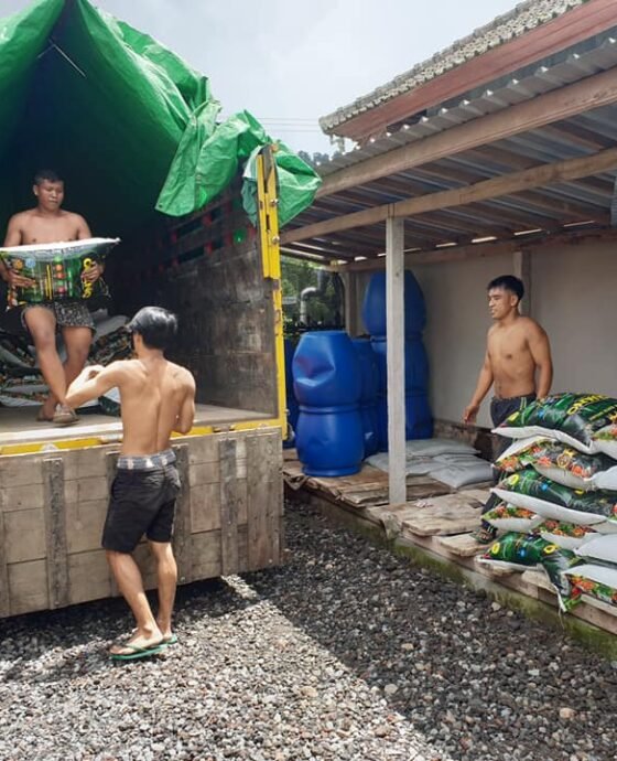 Kilas Balik 2020, Hara yang Baik Membentuk Antibodi yang Kuat bagi Tanaman