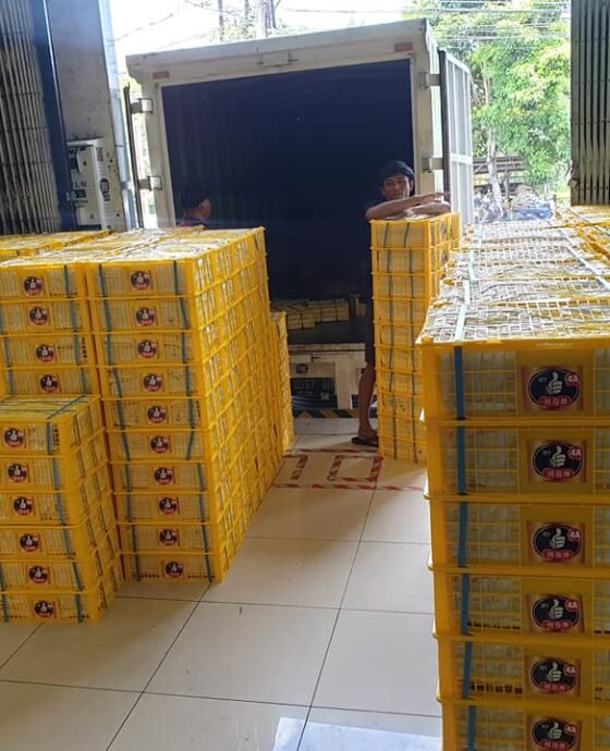 Kilas Balik 2020, Walaupun dilanda COVID-19 Ekspor Manggis tetap jalan