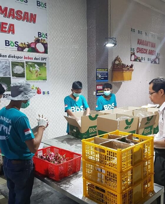 Kilas Balik 2020, Integrated Nature Farming untuk Kemajuan Bersama