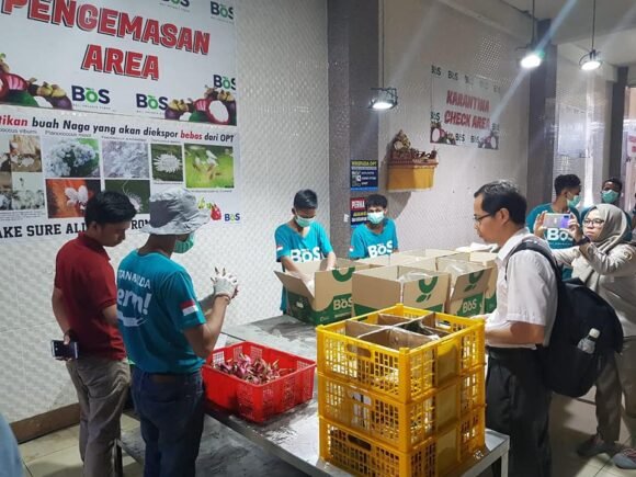 Kilas Balik 2020, Integrated Nature Farming untuk Kemajuan Bersama