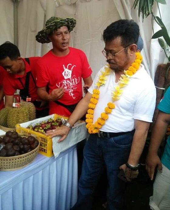 Kilas Balik 2020, Acara TaniDay di Denpasar