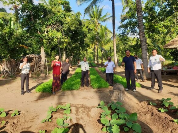 Kilas Balik 2020, Pertanian Holistik di Desa Tembok Hasil Kolaborasi Antara Petani, Pemerintah, dan BPD Bali