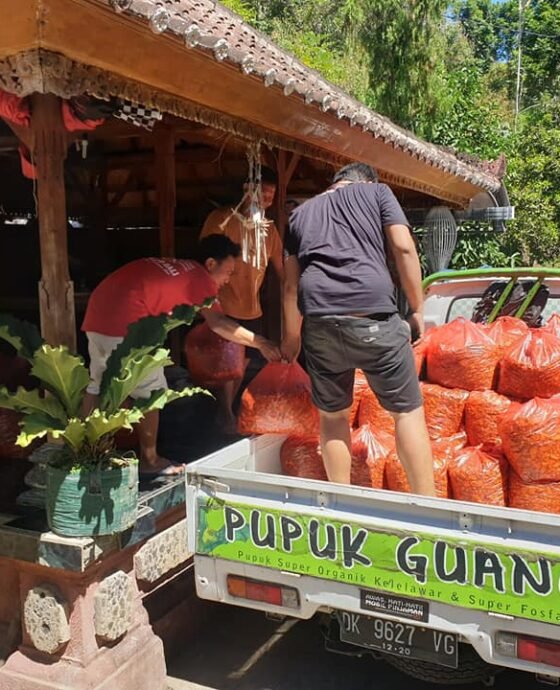 Kilas Balik 2020, Tingginya Permintaan Kunyit Bubuk di Amerika dan Eropa