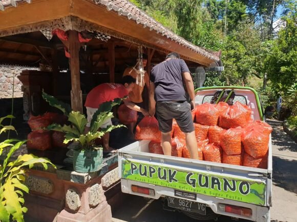 Kilas Balik 2020, Tingginya Permintaan Kunyit Bubuk di Amerika dan Eropa