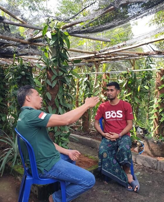 Kilas Balik 2020, Strategi Pengembangan Produksi Vanili Berkualitas