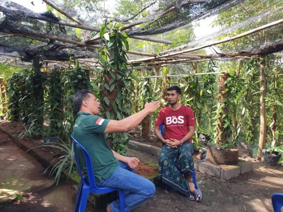 Kilas Balik 2020, Strategi Pengembangan Produksi Vanili Berkualitas