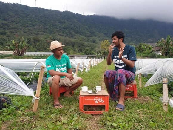 Kilas Balik 2020, Berdiskusi dengan para Petani Strawberry