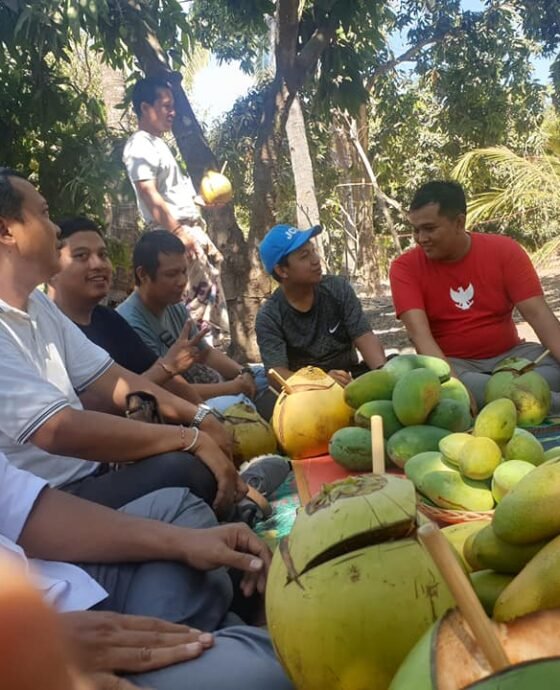 Revitalisasi Mangga Bali: Langkah Awal dari Desa Tembok