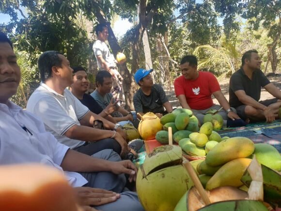 Revitalisasi Mangga Bali: Langkah Awal dari Desa Tembok