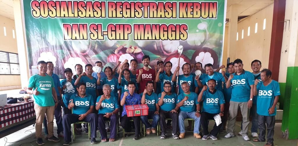 SL-GHP Manggis: Bersama Memperkuat Rantai Pertanian Bali
