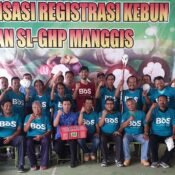 foto-berama-petani-manggis