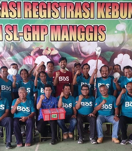 SL-GHP Manggis: Bersama Memperkuat Rantai Pertanian Bali