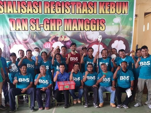 SL-GHP Manggis: Bersama Memperkuat Rantai Pertanian Bali