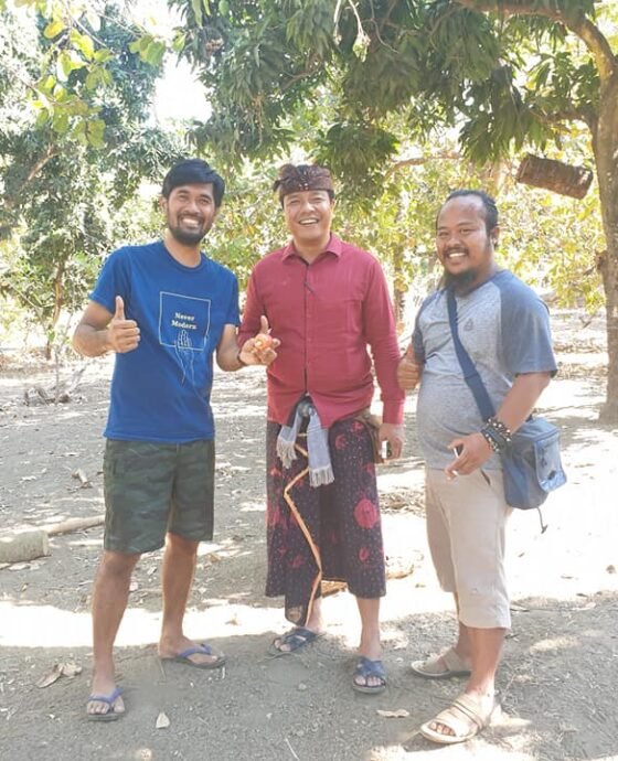 REVITALISASI MANGGA BULELENG: DARURAT ORGANIK