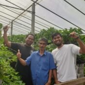 foto-bersama-petani-strawberry