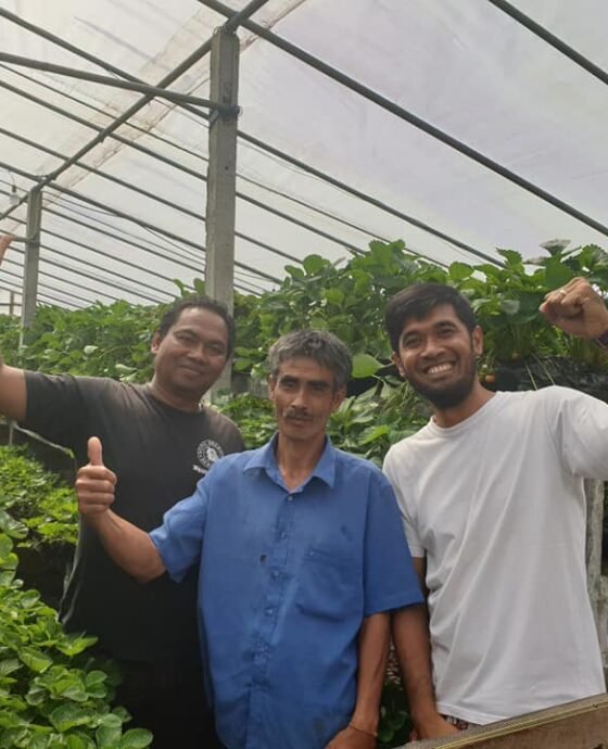 Semangat Pagi, PETANI MUDA KEREN!
