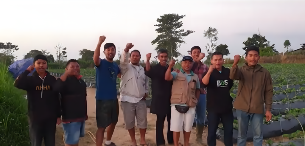 Sepandai-Pandai Tupai Melompat… Pasti Suka Strawberry 
