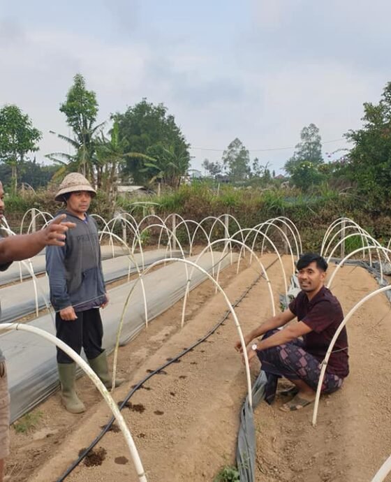 Kekeringan Bukan Alasan untuk Menyerah