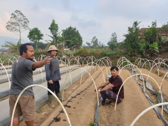 Kekeringan Bukan Alasan untuk Menyerah