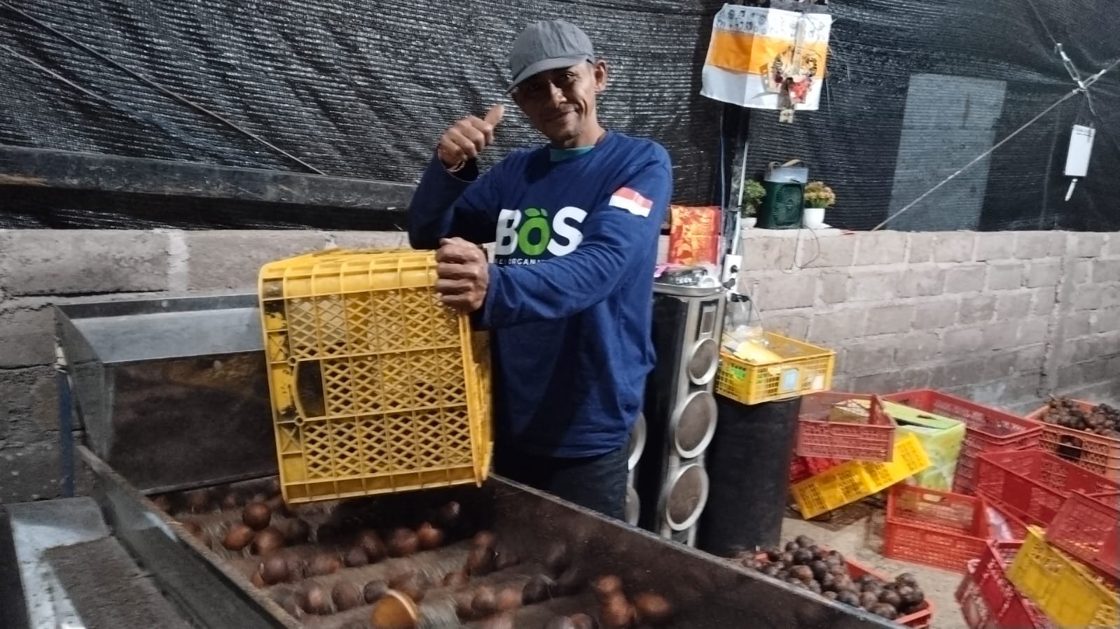 Petani Salak Bali Organik Subak