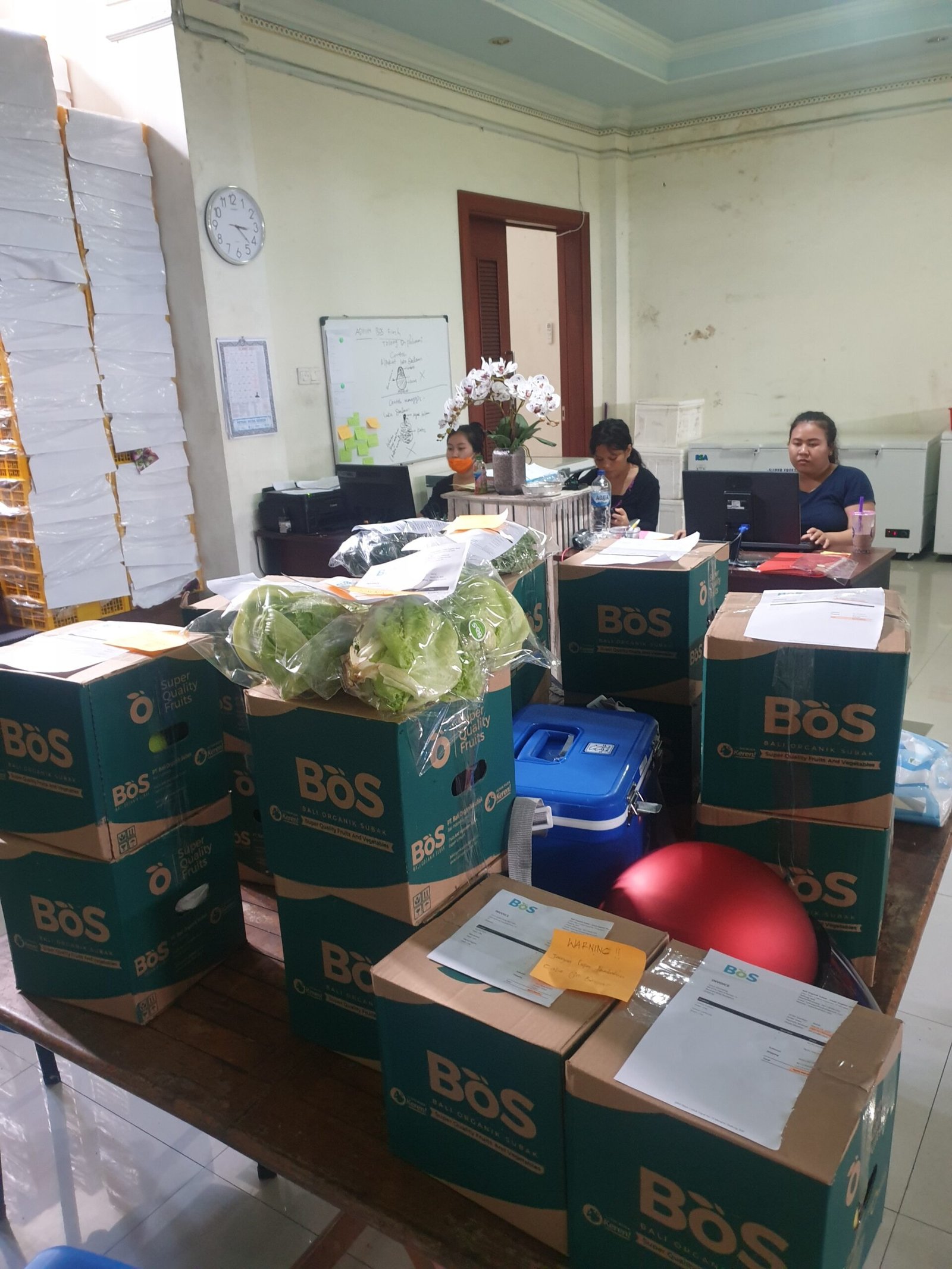 Persiapan pesanan sayuran BoSFresh di ruang operasional