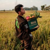 Anggota tim BoS membawa kotak sayuran segar bermerek BoS di area persawahan.