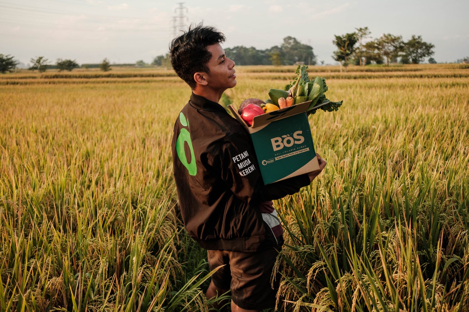 Anggota tim BoS membawa kotak sayuran segar bermerek BoS di area persawahan.