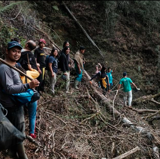 Menjaga Hutan