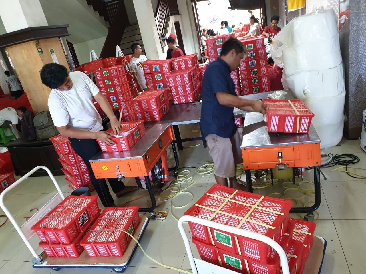 Pekerja menangani keranjang buah tropis di Packing House BOS.