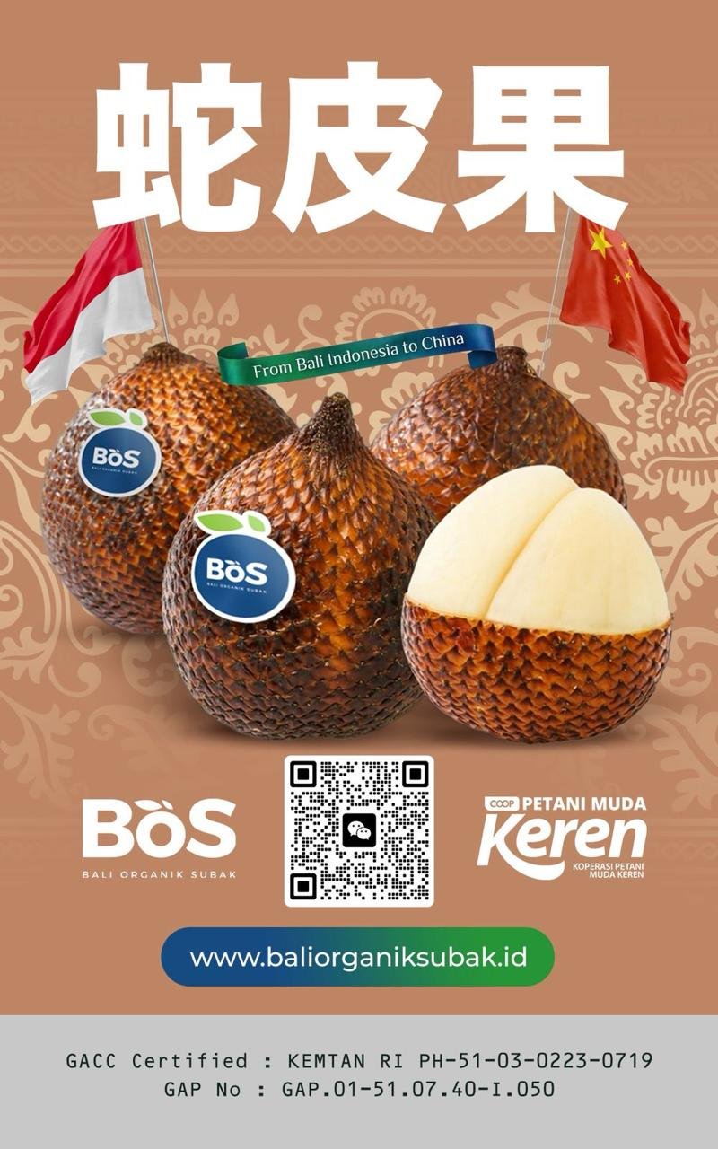 Tim Bali Organik Subak menyiapkan salak untuk ekspor