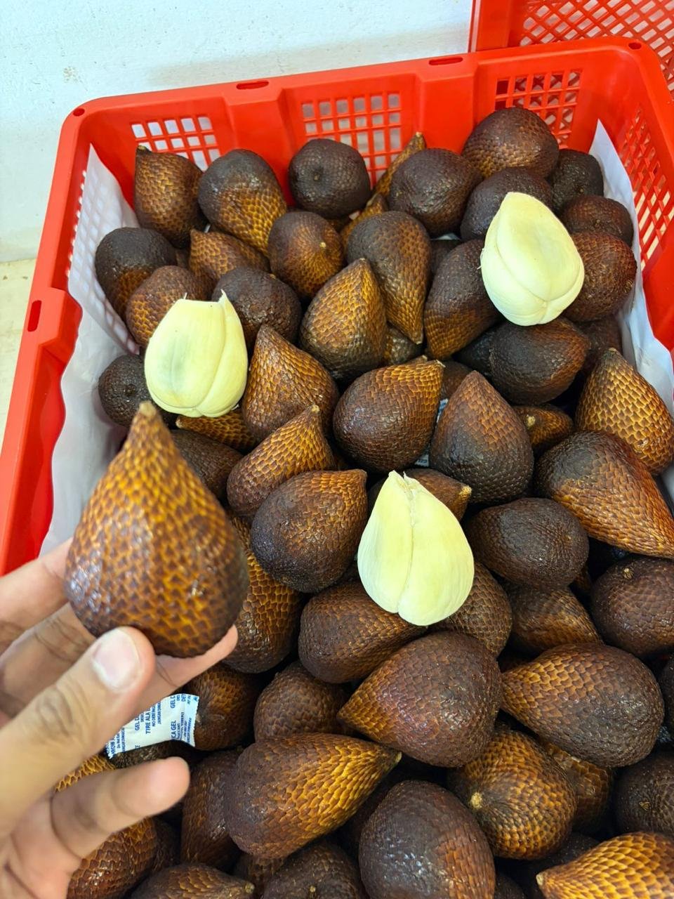 Kualitas salak petani Bali diperiksa sebelum dipasarkan
