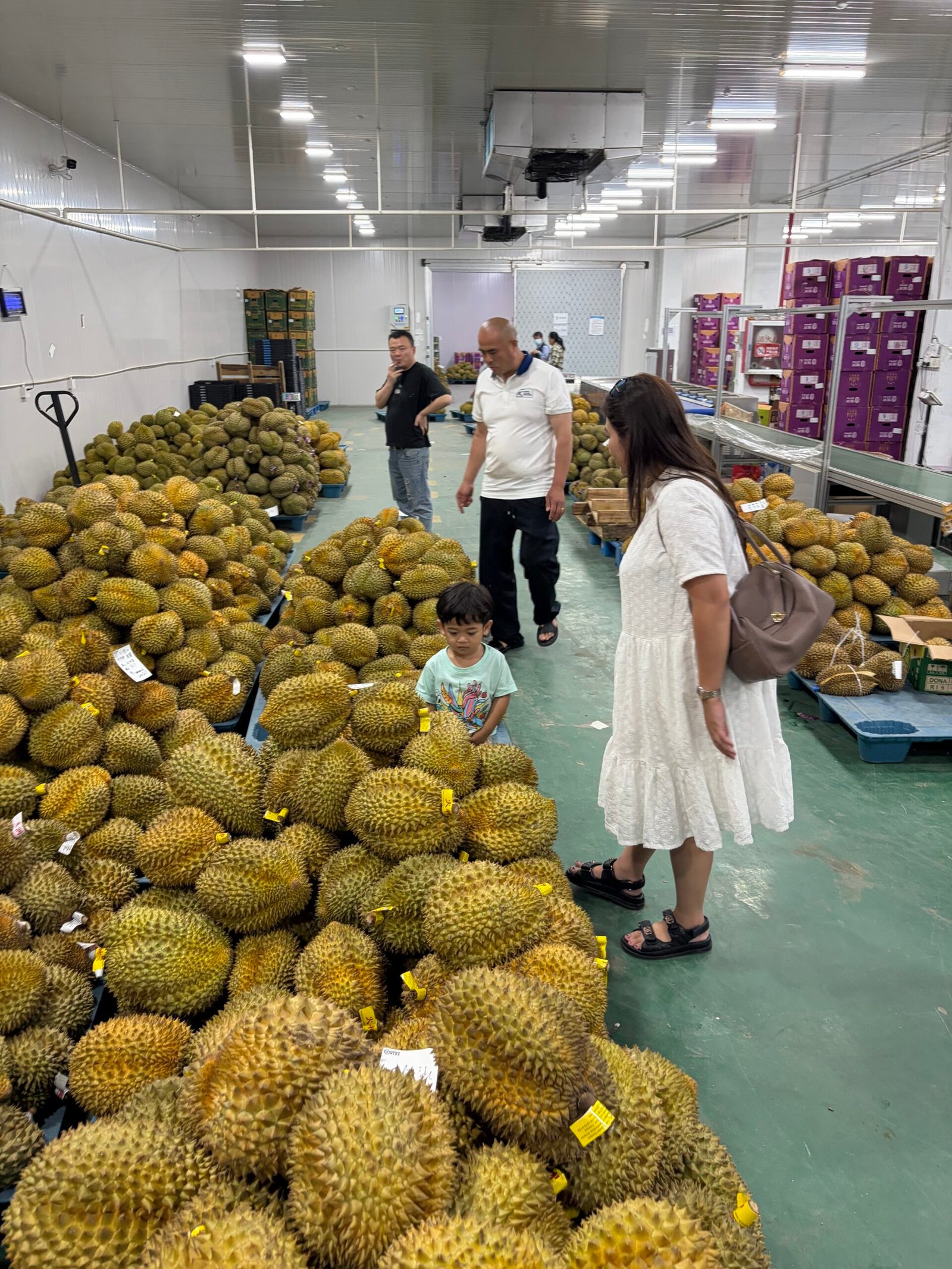 Kunjungan Bali Organik Subak ke packing house buyer di Shanghai China