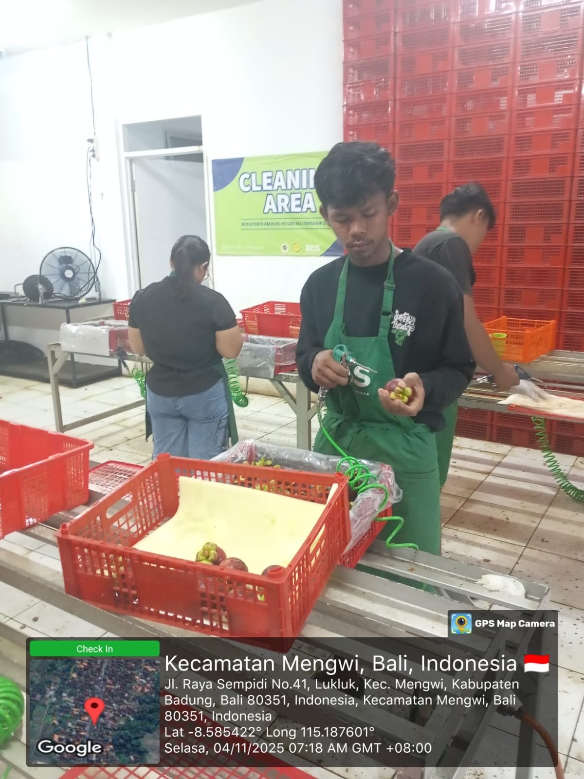 Nelson Pane praktik pertanian di P4S PMK