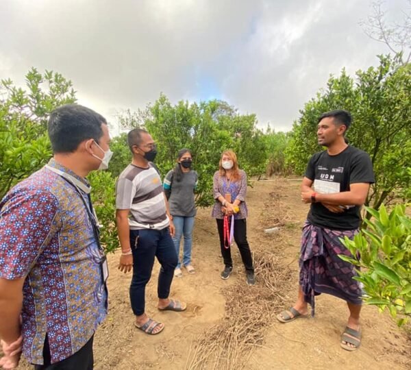 Kebun jeruk PMK Bangli
