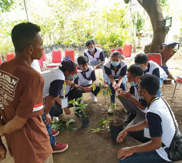 P4S Buleleng Agro