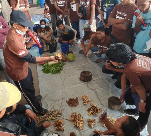 Ketut Punia Pestisida Nabati