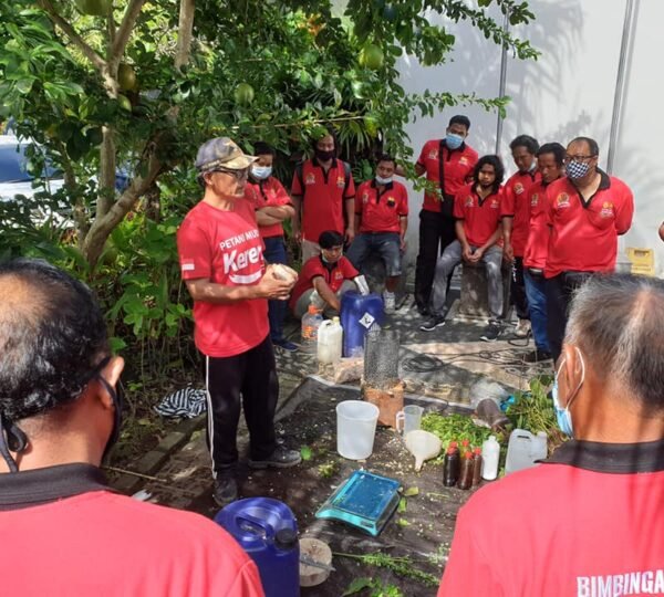Pelatihan P4S Bali Organikultur