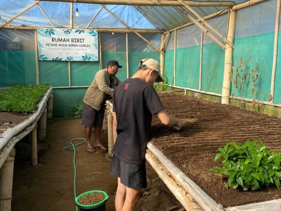 INSTIPER x P4S Petani Muda Keren Series #3: Belajar Budidaya Hortikultura Organik di P4S PMK Gobleg