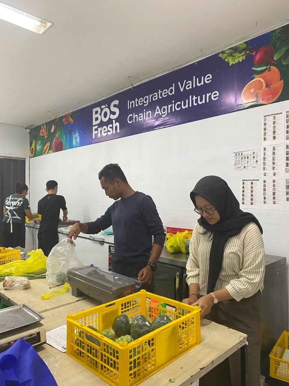 Mahasiswa INSTIPER Yogyakarta mengikuti PKL di P4S Petani Muda Keren