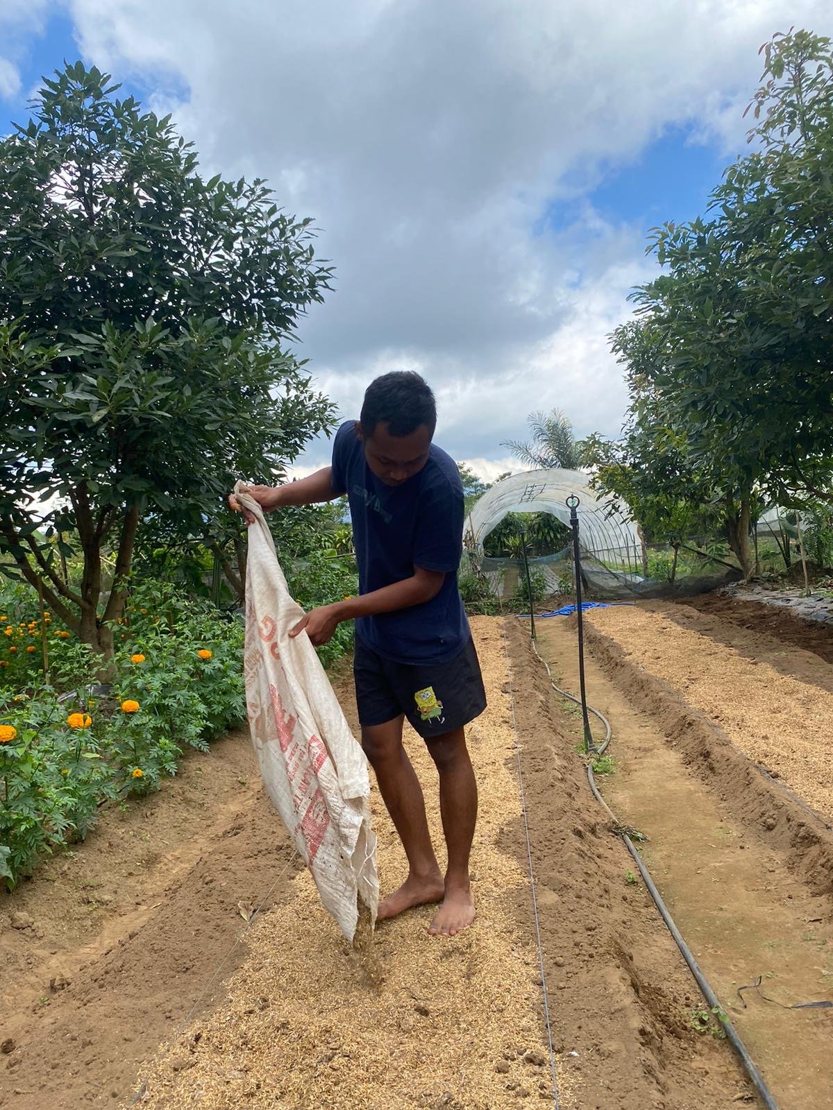 Rangkaian pembelajaran smart farming mahasiswa INSTIPER Yogyakarta