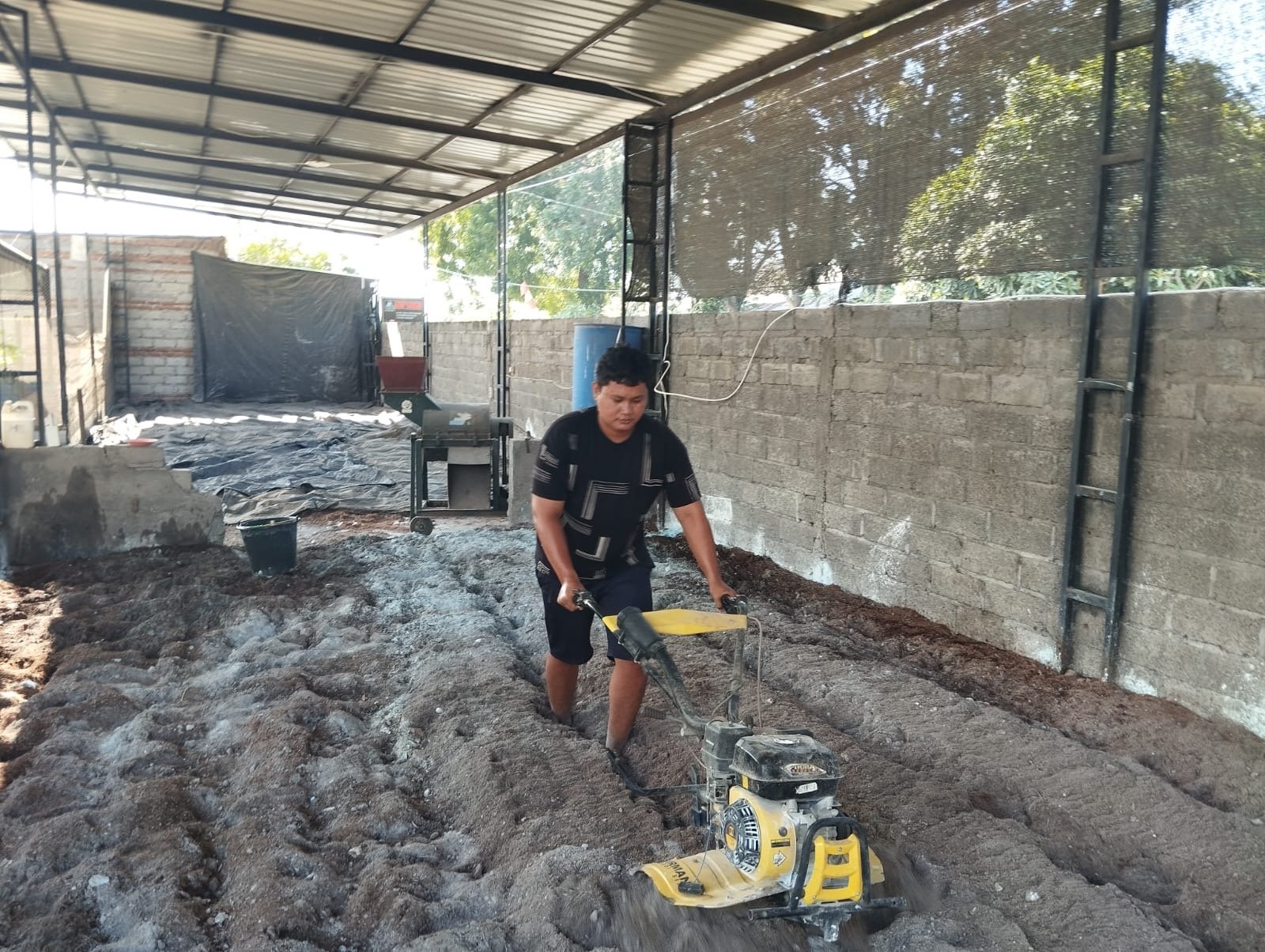 Mahasiswa INSTIPER Yogyakarta mengikuti PKL di P4S Petani Muda Keren