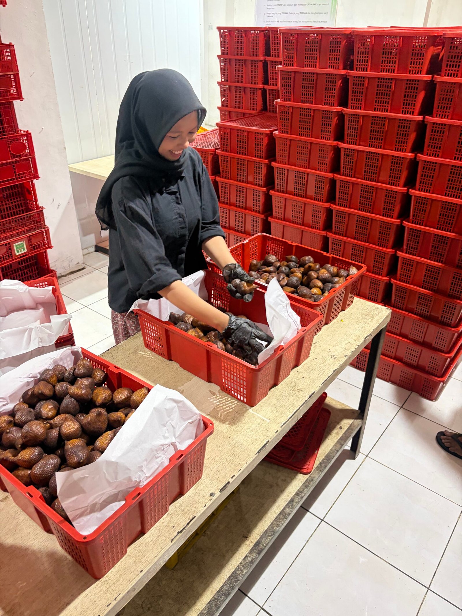 Mahasiswa Universitas Udayana belajar pembuatan konten dan komunikasi produk pertanian di BoSFresh